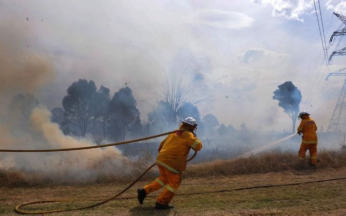 Brandweermannen proberen een bosbrand onder controle te krijgen. Foto EPA