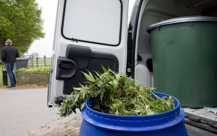 De politie heeft woensdag tijdens een grootscheepse actie op een camping in Rijsbergen (Brabant) in vijf stacaravans complete hennepkwekerijen aangetroffen.Foto ANP