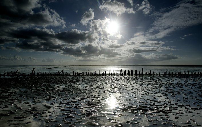 ZEIST (ANP) – De natuur in de Waddenzee wordt klemgezet, vindt de Vogelbescherming. De organisatie vindt het gebied te belangrijk om proeftuin te zijn en betreurt het daarom dat minister Verburg (Landbouw) kansen ziet voor duurzame mosselvisserij in de Wa