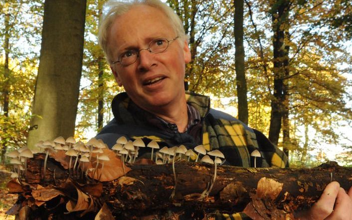 Mycoloog Piet Bremer betreurt het dat Nederlanders zo weinig kennis hebben van de grote paddenstoelenrijkdom in ons land. „Vliegenzwam, champignon, cantharel en inktzwam. Dat zijn vier bekende, het elfenbankje mag je er nog bij optellen.” Op de foto de bu