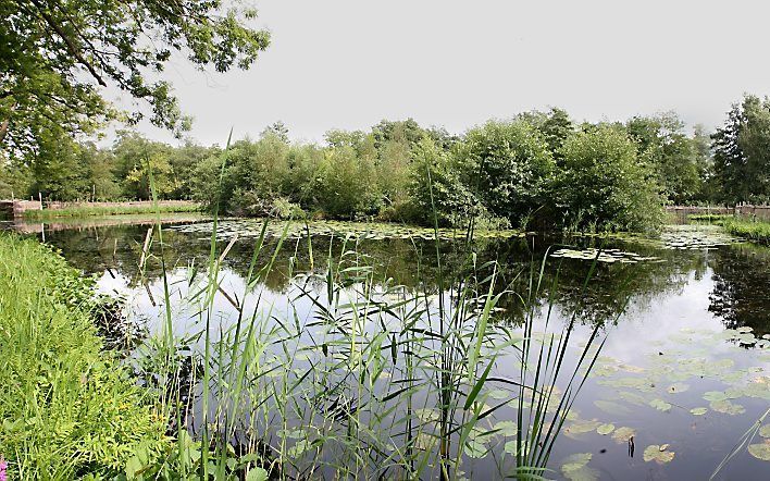 Weerribben. Foto RD, Anton Dommerholt