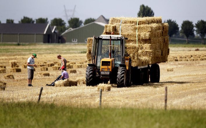 Inkomen agrariër in diep dal. Foto ANP