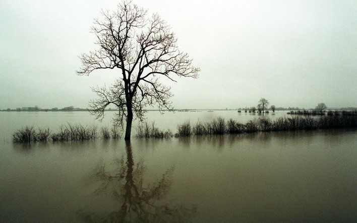 VEESSEN – Hoogwater in de IJssel bij Veessen. De hoogwatergeul moet overstromingsschade in de toekomst voorkomen. Foto ANP