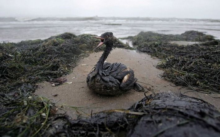 Madagaskar vreest een natuurramp doordat een Turks schip, 3 kilometer ten zuiden van het land, veel olie, diesel en fosfaat heeft verloren. Foto EPA