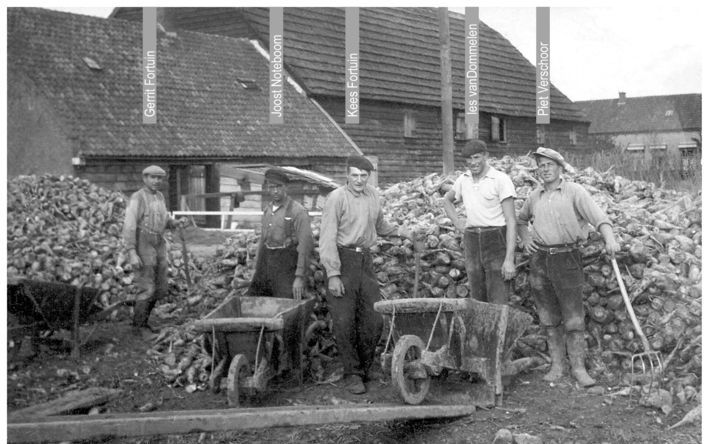 PUTTERSHOEK – Het laden en lossen van suikerbieten gebeurde in de eerste decennia van de suikerfabriek in Puttershoek (foto uit 1938) met kruiwagens en manden. Foto’s collectie Joop Kortekaas e.a.