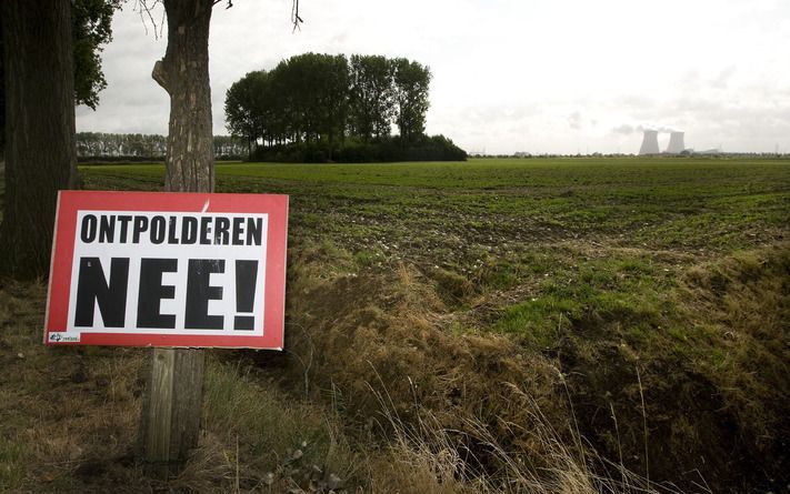 De Hertogin Hedwigepolder. Foto ANP