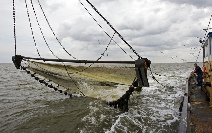 LAUWERSOOG - Een garnalenvisser zet zijn netten uit voor de kust van Lauwersoog. Vissers in Nederland en andere EU-landen krijgen hulp wegens de dure diesel. Het is nog niet precies duidelijk in welke vorm die hulp wordt gegoten. Foto ANP