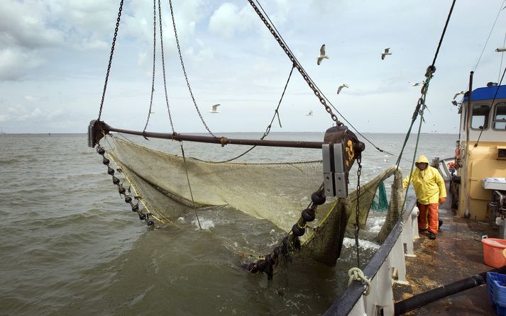 Een vissersboot die vanochtend in problemen was geraakt op de Waddenzee, is aan de grond gelopen bij de veerhaven van Texel. Foto ANP