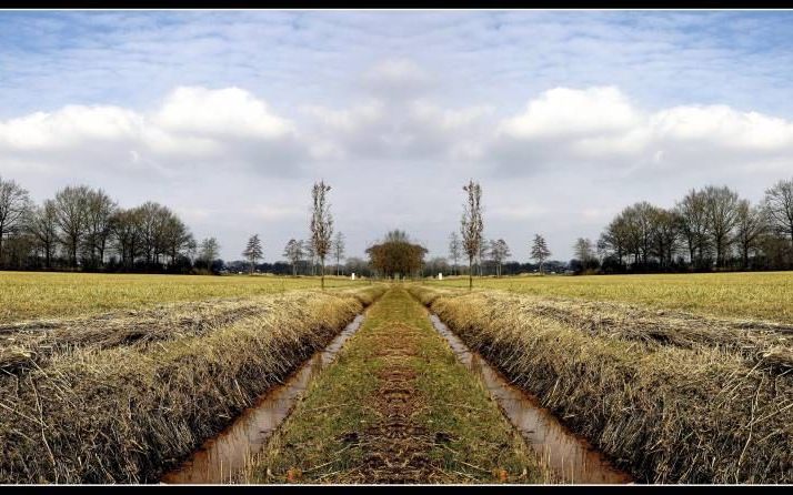 „In de beeldvorming zijn CU en SGP het misschien vaak oneens, maar in de praktijk valt dat nogal mee.”  Foto RD