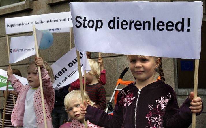 AMSTERDAM – Wakker Dier begint woensdag een campagne tegen de verkoop van dekbedden met dons dat van levende ganzen is geplukt. Dat heeft de organisatie dinsdag laten weten. In advertenties wordt het publiek opgeroepen dons te boycotten. Foto ANP