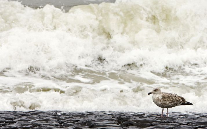 Koolstofdioxide beïnvloedt klimaat al duizend jaar. Foto ANP