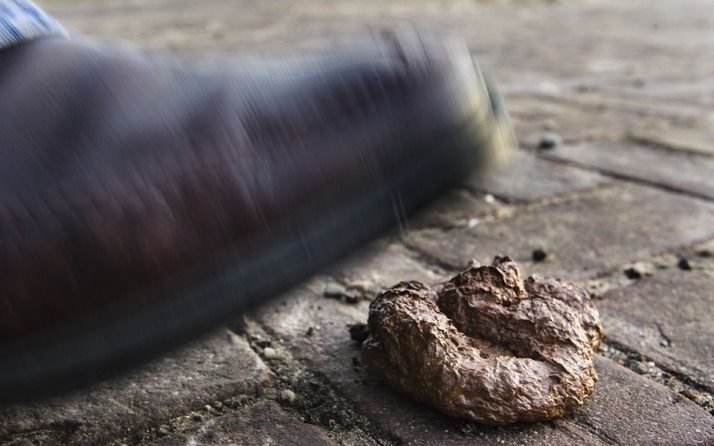 Ergernis over hondenpoep nog altijd groot. Foto ANP