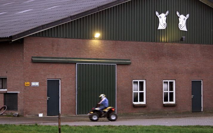 SCHAIJK – Het is druilerig in het Noord-Brabantse Schaijk. Soms plenst het. Q-koorts is vooral gebaat bij droog en zonnig weer. De meningen in het dorp over de ruimingsmaat­regelen van de regering zijn verdeeld. „Ze hadden eerder actie moeten ondernemen”,