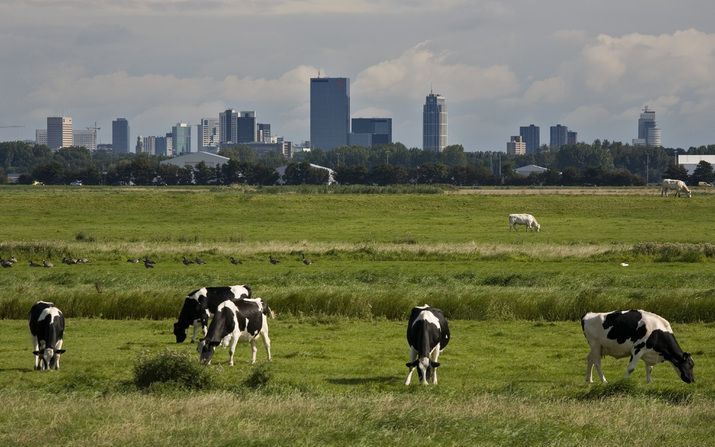 DEN BOSCH - Agrariërs hebben ondanks de teruglopende economie vertrouwen in de toekomst. Foto ANP