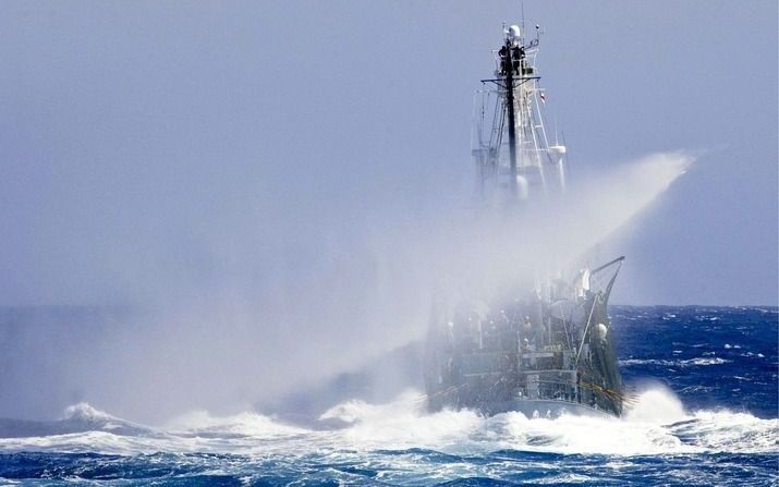 Japans walvisschip Shonan Maru No. 2. Foto EPA