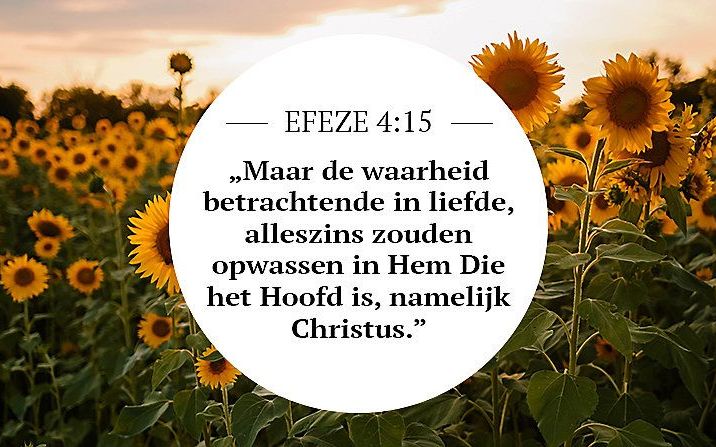 Meditatie week 36 | Efeze 4:15 | Groeien