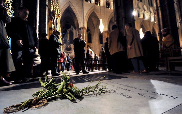 Charles Darwin wilde een eenvoudige begrafenis, in Downe, het kentse dorp waar hij veertig jaar heeft gewoond. Wetenschappelijke vrienden hadden echter een andere plek op het oog: De Westminster Abbey in Londen. Foto EPA