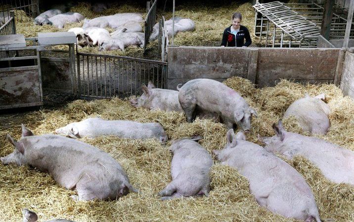 Biologisch boeren doet het goed, ondanks de crisis. Foto ANP