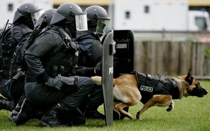 Het Nederlandse rechtssysteem is niet hard genoeg tegen criminele leeftijdsgenoten. Foto ANP