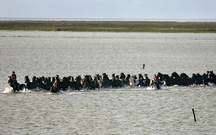 De Waddenzee is in de race voor de verkiezingen van de zeven natuurlijke wereldwonderen. Het gebied, dat zich uitstrekt tot Denemarken, is een van de bijna driehonderd genomineerden. Foto ANP