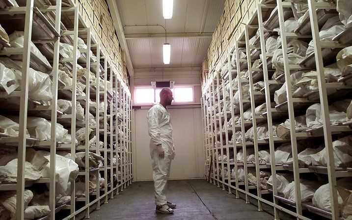 Na de massamoorden op de bevolking van Srebrenica in 1995 zijn er massagraven ontdekt. Forensisch deskundigen hebben de overblijfselen van duizenden mensen verzameld. Karadzic wordt verantwoordelijk gesteld voor het bloedbad. Foto EPA