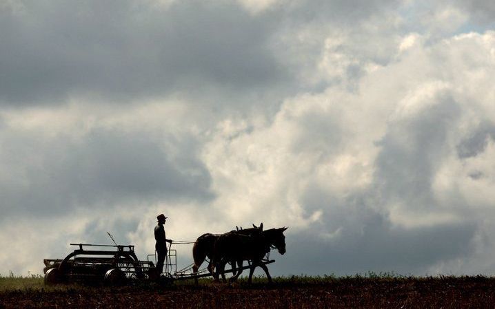 Het aantal amish in de Verenigde Staten is de afgelopen jaar zestien jaar bijna verdubbeld. Foto EPA