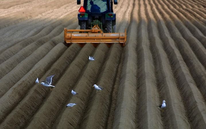 STRIJEN – De vijf Hoeksche Waardse gemeenten zijn er door de nauwe samenwerking in geslaagd bedreigingen om te zetten in kansen. Verder is er een belangrijk fundament onder de samenwerking gelegd door een eenduidige visie over de toekomst van het eiland. 