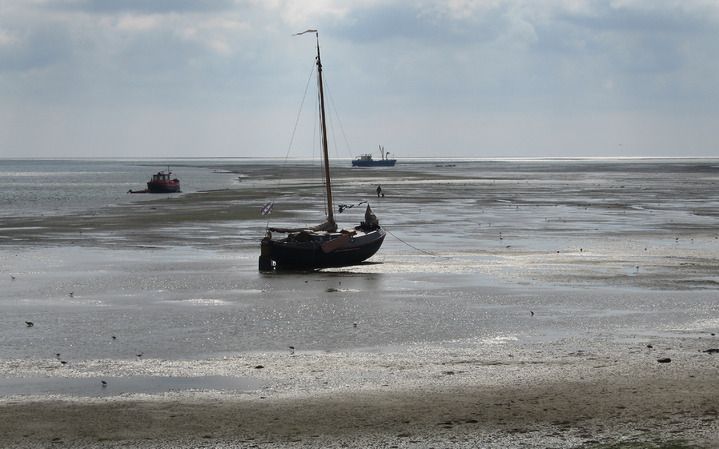 DELFZIJL – Om het waddengebied voor de toekomst te behouden, is meer kennis over het bijzondere natuurgebied nodig. Foto ANP