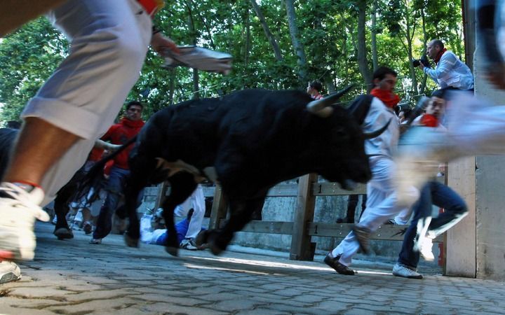 Stierenrennen in Pamplona. Bij stierenrennen in het Noord–Spaanse Cabanillas is een jongen om het leven gekomen. Foto EPA