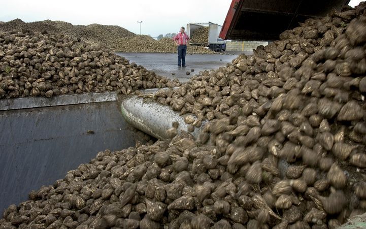 De prijs van rijst, suiker en graan is zeker 50 procent hoger dan een jaar geleden. Foto ANP.