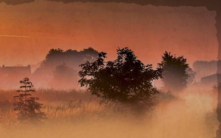 De omslag van het boek van Rita de Waal ademt rust vanwege een „prachtige foto van de Betuwefotograaf Marinus de Keyzer”, zegt De Waal.  beeld uit besproken boek