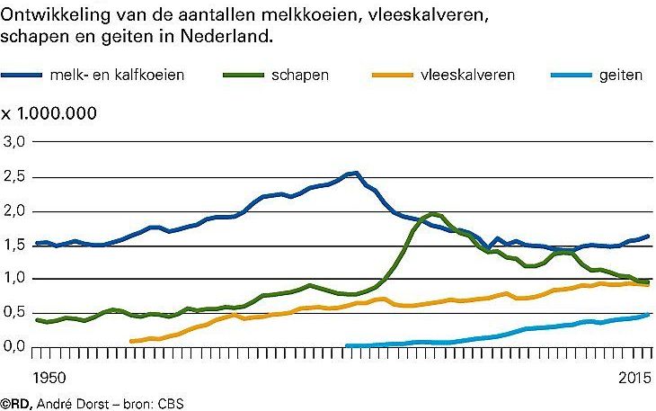 beeld RD