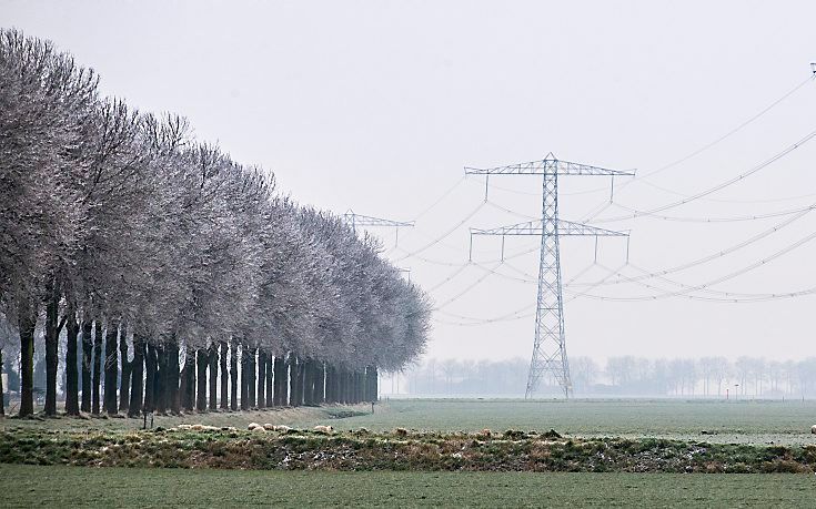 beeld ANP, Vincent Jannink