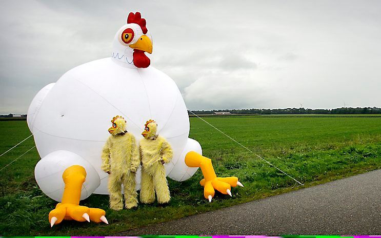 Protest tegen de plofkip. Foto ANP