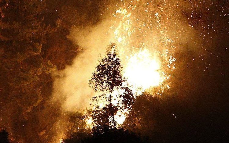 Duizenden mensen in Chili zijn geëvacueerd vanwege een grote bosbrand. Die woedt in de buurt van de havenstad Valparaíso. beeld EPA