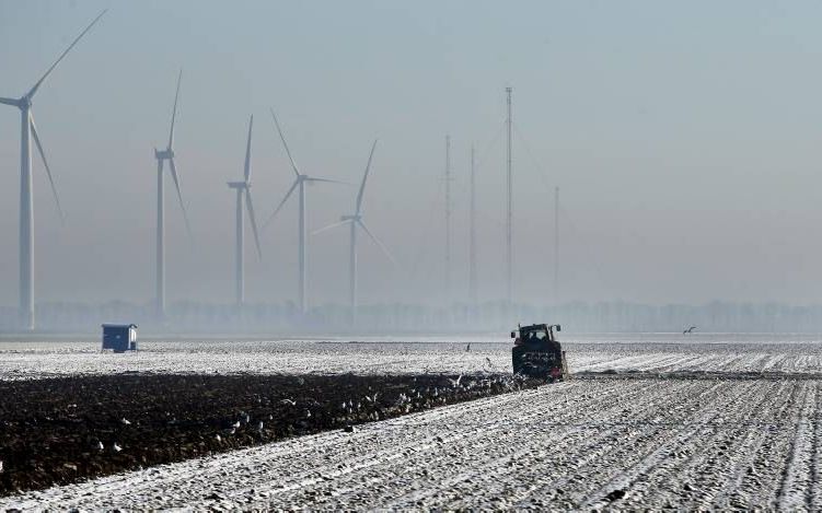 De landbouwgronden in de Flevopolder worden zo intensief benut dat de vruchtbaarheid afneemt. beeld ANP