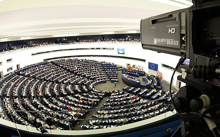 Het Europees Parlement in Straatsburg. beeld EPA