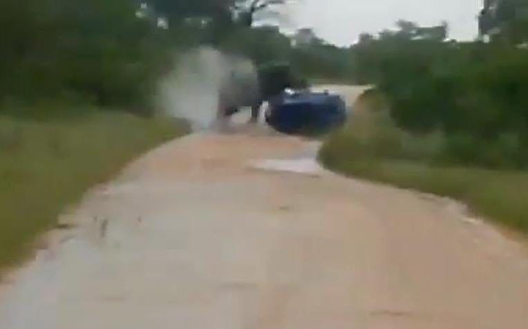 Olifant valt auto aan in Krugerpark. Beeld Youtube