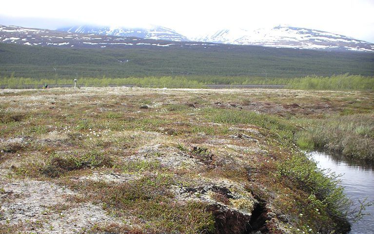 De permafrost bij Storflaket in Zweden bestaat uit een dikke veenlaag die scheurt tijdens het ontdooien. beeld Wikimedia, Dentren