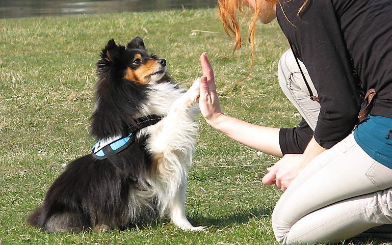 Anjana Gort, oprichter van MissionPuppy, met Luca. Beeld Anjana Gort