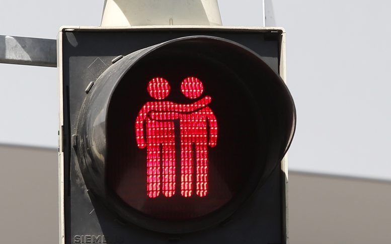 Honderden verkeerslichten in Wenen lieten een homokoppel zien met een hartje erbij. beeld EPA