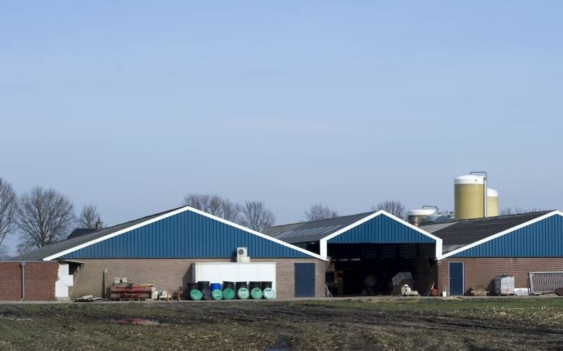 BOEKEL. De veranderde houding van de provincie Noord-Brabant tegenover de veehouderij is een schrikbeeld voor boeren in Gelderland en Overijssel. Foto: varkenshouderij in het Brabantse Boekel.  beeld ANP