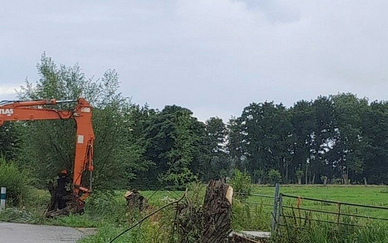 Boeren zaagden maandag in de Krimpenerwaard tientallen knotwilgen om.  beeld: Het Kontakt / Floor de Jong