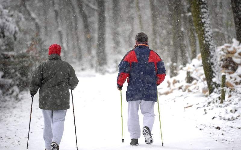 Wandelaars maandag in de besneeuwde Vijlener bossen. Foto ANP