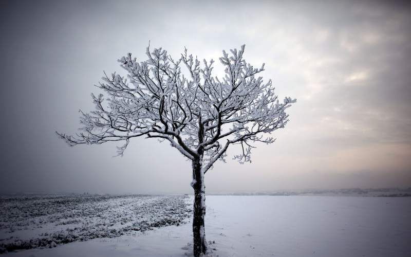 Winter in Duitsland. Foto EPA