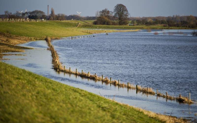 Hoge waterstand in de Waal. Foto ANP