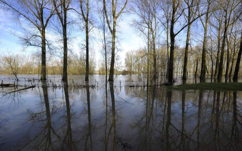 Hoge waterstand in de Maas. Foto ANP