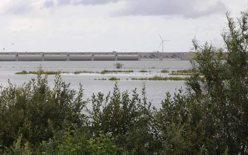 De Haringvlietsluizen gaan niet permanent op een kier. Te duur, oordeelt het nieuwe kabinet. Rijnoeverstaten zoals Duitsland en Frankrijk zijn furieus, Europa waarschuwt voor de gevolgen. Foto Natuurmonumenten