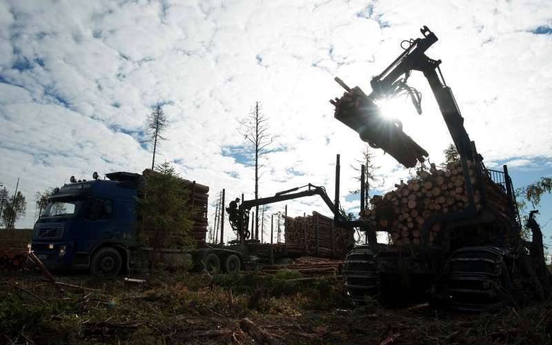 De Zweedse milieuorganisatie Protect the Forest documenteerde hoe Ikea via Swedwood in het noordwesten van Karelië (Rusland) bossen vernielt die 200 tot 600 jaar oud zijn. Foto Robert Svensson, Protect the Forest 2011