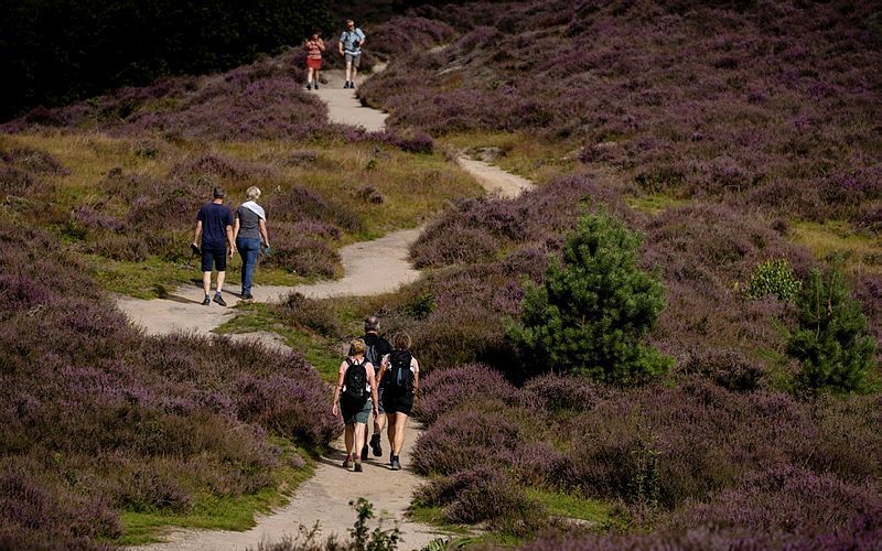 De Veluwe is bij veel toeristen en recreanten in trek. beeld ANP, Sander Koning